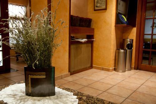 Hotel Ca L'Amagat Bagá Екстериор снимка